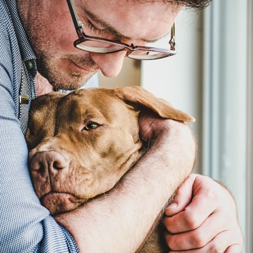 Male with glasses and a blue shirt looking concerned, hugging a brown dog.