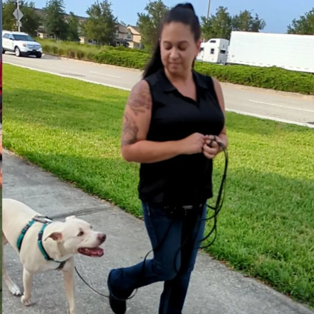 Amanda is walking her dog Applejack on a busy road. Amanda and Applejack are looking happily towards each other.