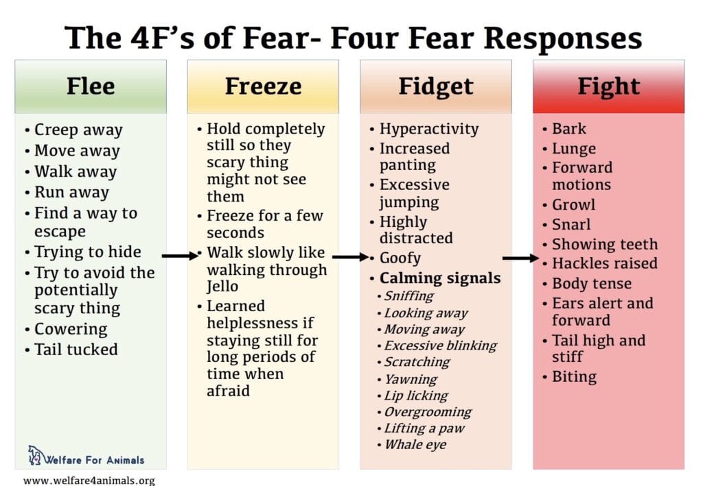 welfare4animals.org 4 F's of Fear. Flea, Freeze, Fidget, Fight. 